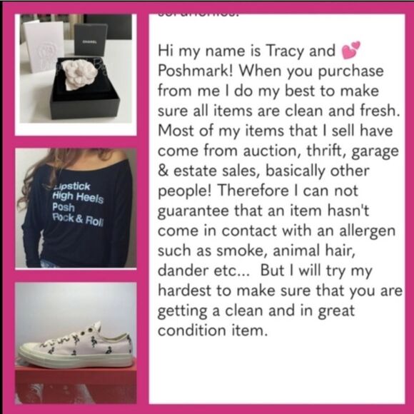 Women's Chuck Taylor All Star Pale Pink W/Navy Blue Flamingo Embroidered Sneaker - Picture 3 of 5